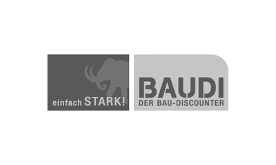 Logo Baudi